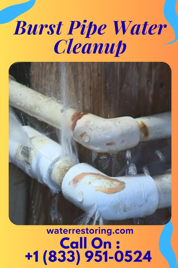 Burst Pipe Water Cleanup in Miston, TN