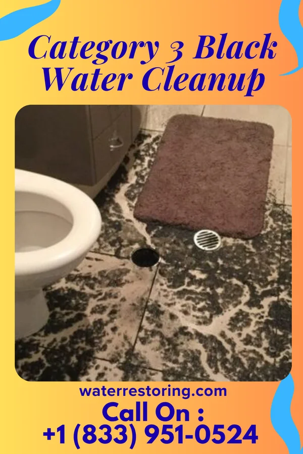 Category 3 Black Water Cleanup in Miston, TN