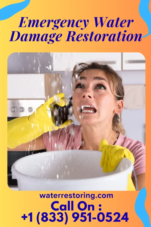 Emergency Water Damage Restoration in Miston, TN