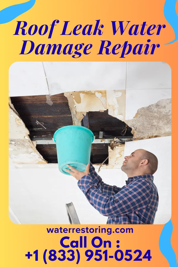 Roof Leak Water Damage Repair in Miston, TN