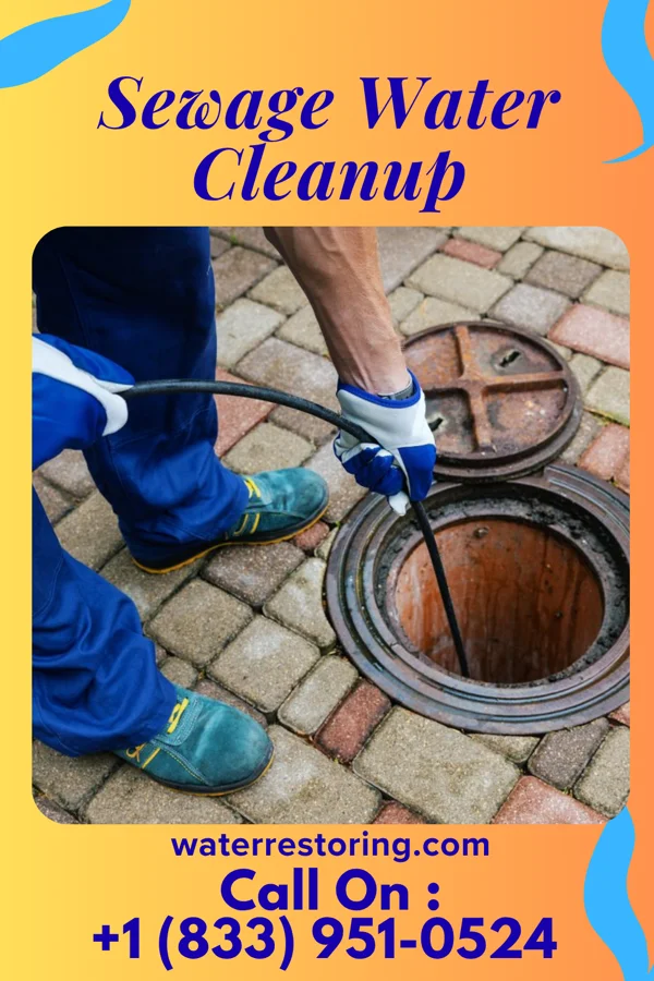 Sewage Water Cleanup in Miston, TN